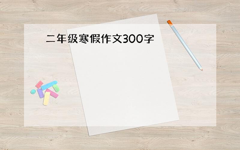 二年级寒假作文300字