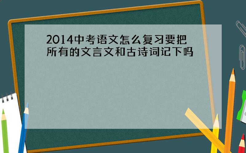 2014中考语文怎么复习要把所有的文言文和古诗词记下吗