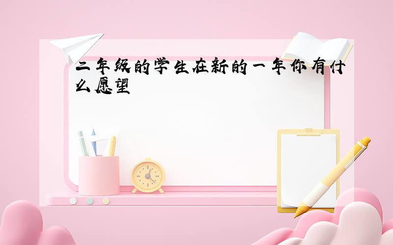 二年级的学生在新的一年你有什么愿望