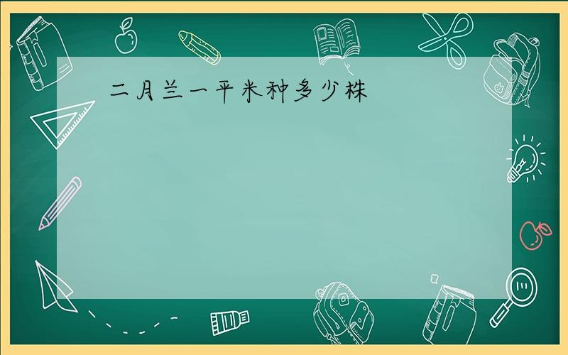 二月兰一平米种多少株