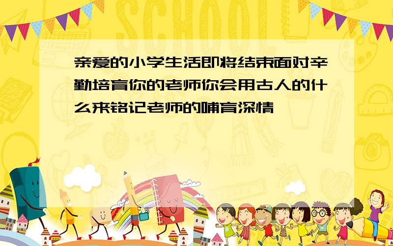 亲爱的小学生活即将结束面对辛勤培育你的老师你会用古人的什么来铭记老师的哺育深情