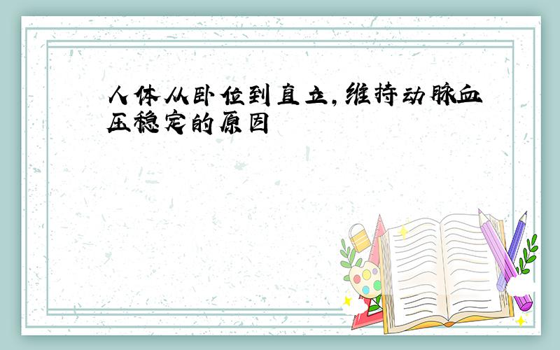 人体从卧位到直立,维持动脉血压稳定的原因