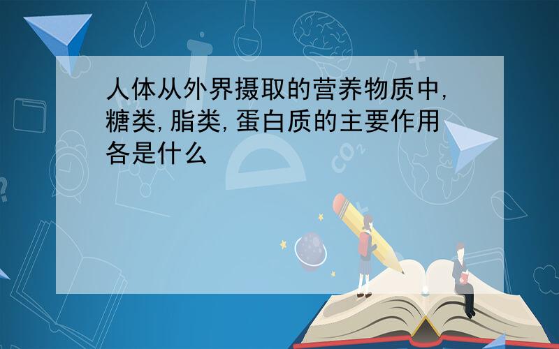 人体从外界摄取的营养物质中,糖类,脂类,蛋白质的主要作用各是什么