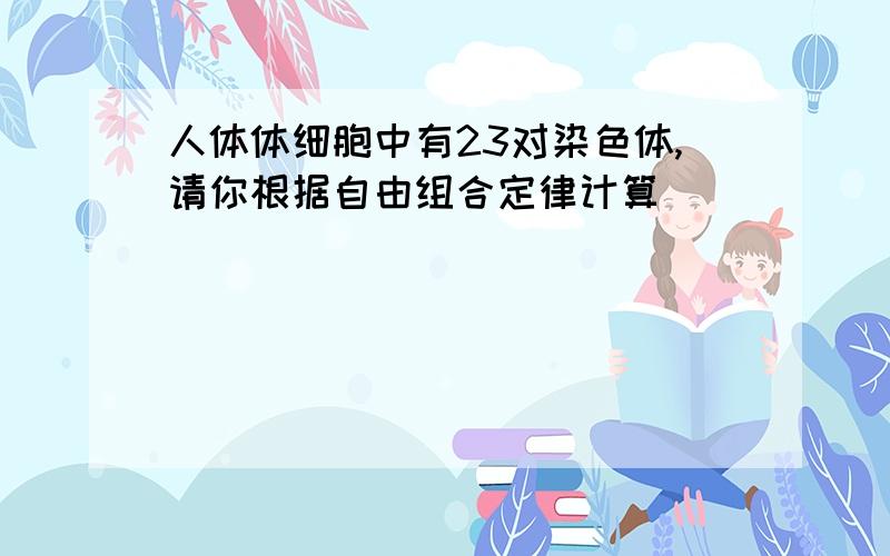 人体体细胞中有23对染色体,请你根据自由组合定律计算