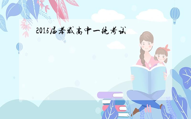 2015届孝感高中一统考试