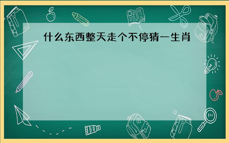 什么东西整天走个不停猜一生肖