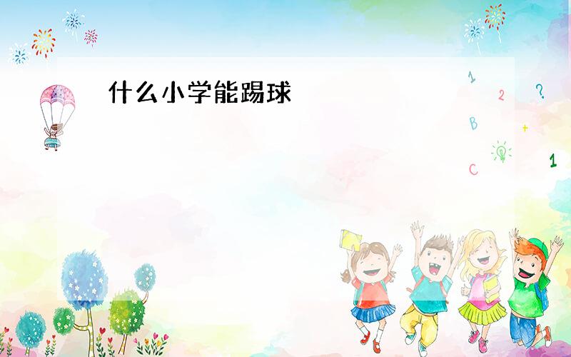 什么小学能踢球