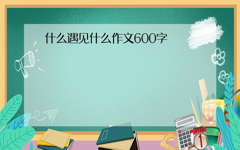 什么遇见什么作文600字