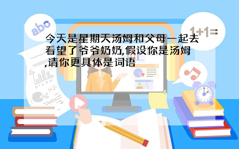 今天是星期天汤姆和父母一起去看望了爷爷奶奶,假设你是汤姆,请你更具体是词语