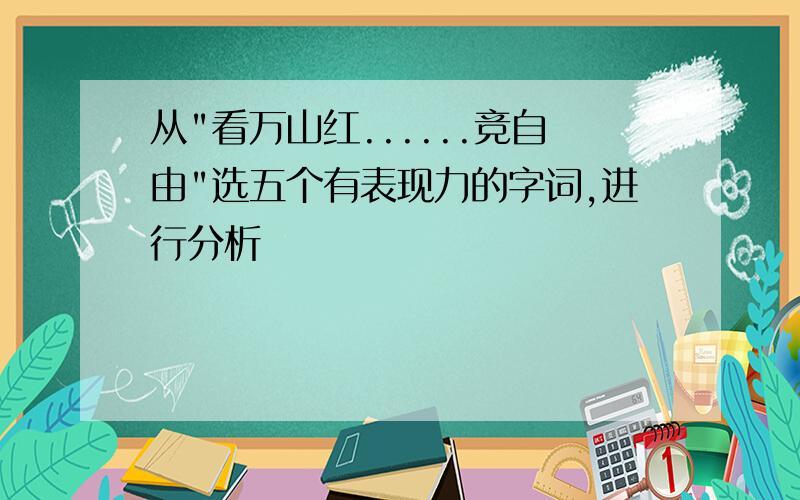 从"看万山红......竞自由"选五个有表现力的字词,进行分析