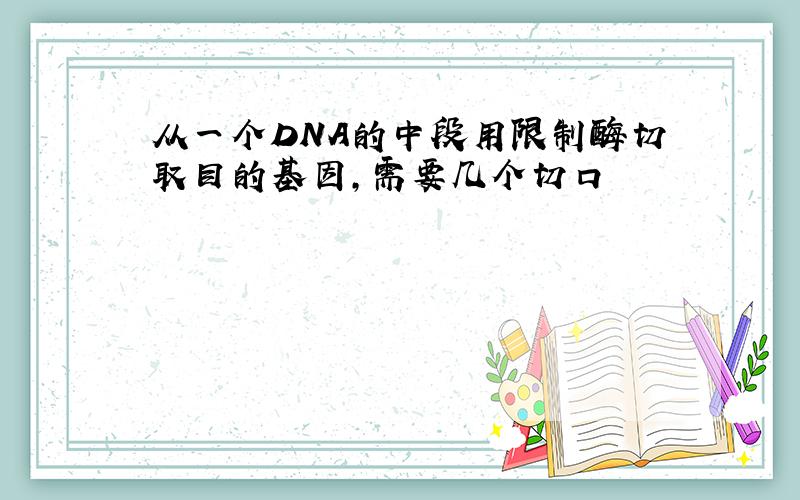 从一个DNA的中段用限制酶切取目的基因,需要几个切口