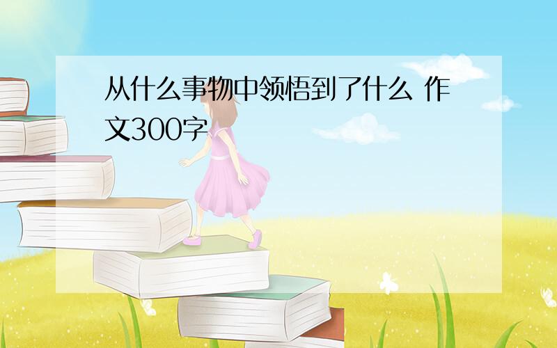 从什么事物中领悟到了什么 作文300字