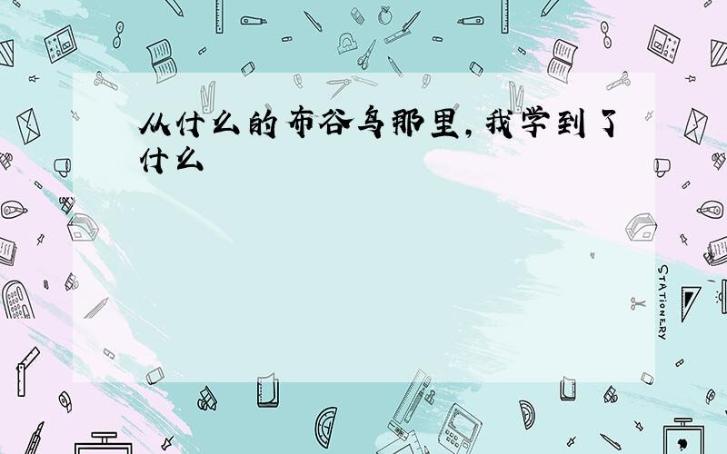 从什么的布谷鸟那里,我学到了什么