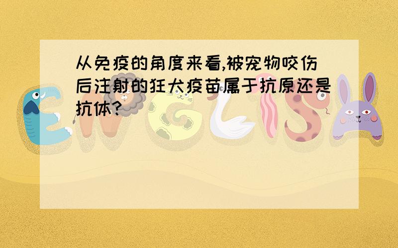 从免疫的角度来看,被宠物咬伤后注射的狂犬疫苗属于抗原还是抗体?