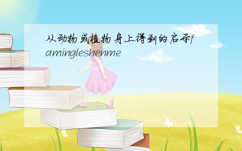 从动物或植物身上得到的启示famingleshenme