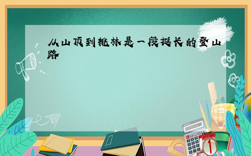 从山顶到桃林是一段挺长的登山路