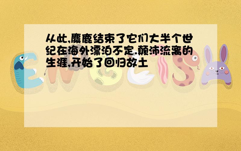 从此,麋鹿结束了它们大半个世纪在海外漂泊不定.颠沛流离的生涯,开始了回归故土