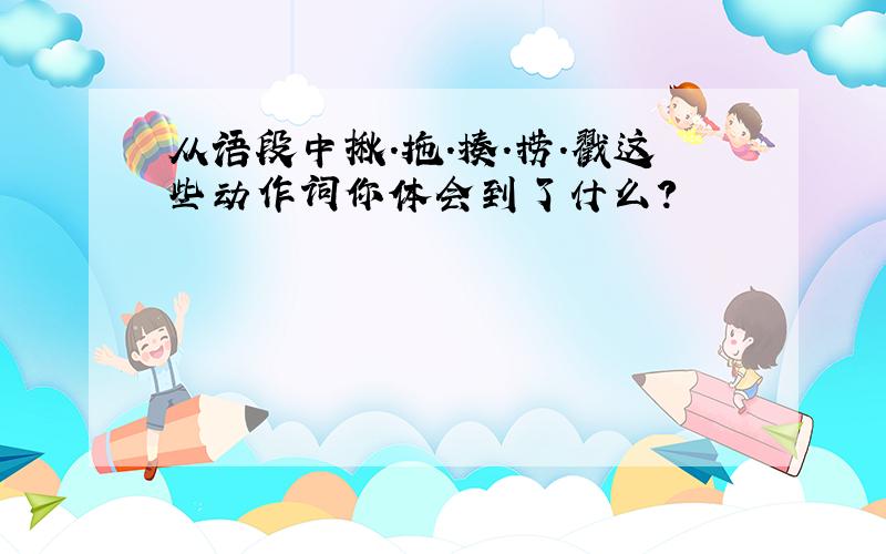 从语段中揪.拖.揍.捞.戳这些动作词你体会到了什么?