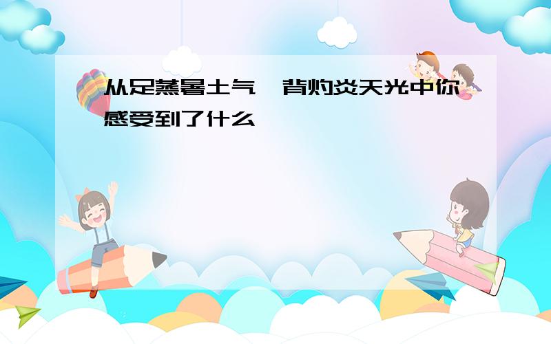 从足蒸暑土气,背灼炎天光中你感受到了什么