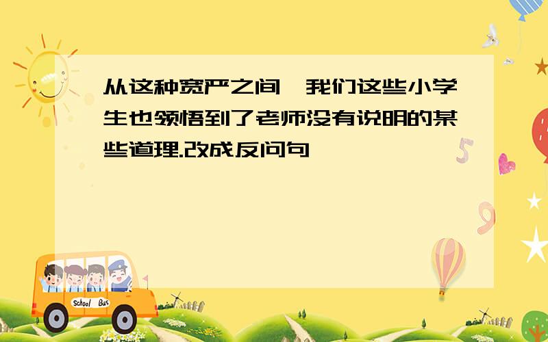 从这种宽严之间,我们这些小学生也领悟到了老师没有说明的某些道理.改成反问句