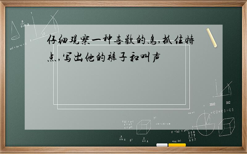 仔细观察一种喜欢的鸟,抓住特点,写出他的裤子和叫声