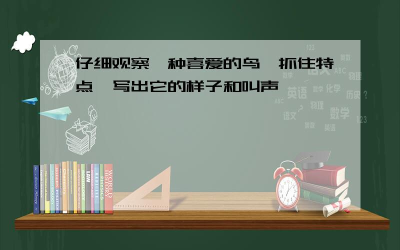 仔细观察一种喜爱的鸟,抓住特点,写出它的样子和叫声