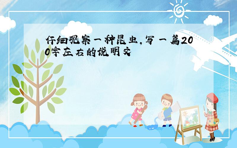 仔细观察一种昆虫,写一篇200字左右的说明文