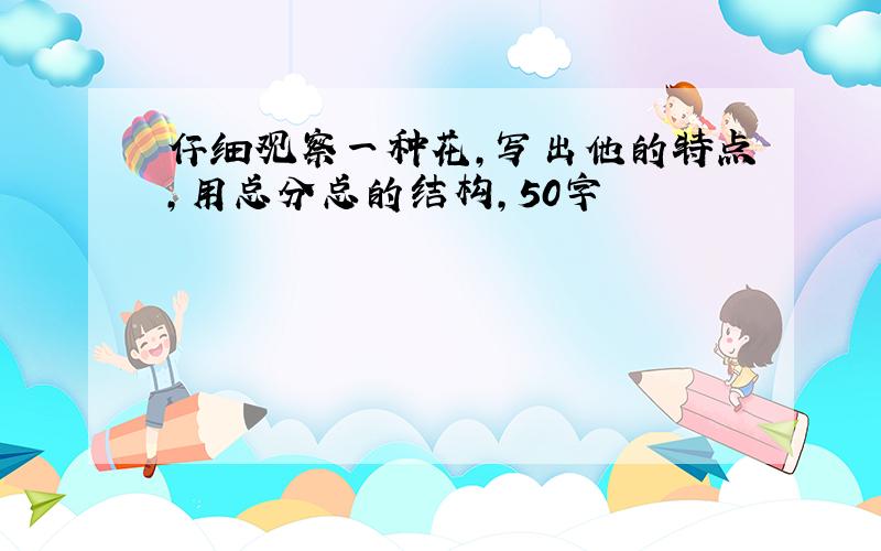 仔细观察一种花,写出他的特点,用总分总的结构,50字