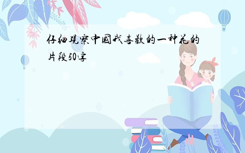 仔细观察中国我喜欢的一种花的片段50字