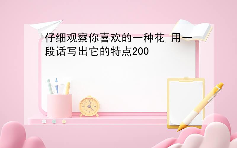 仔细观察你喜欢的一种花 用一段话写出它的特点200