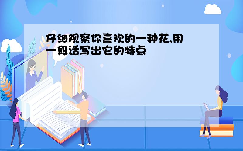 仔细观察你喜欢的一种花,用 一段话写出它的特点