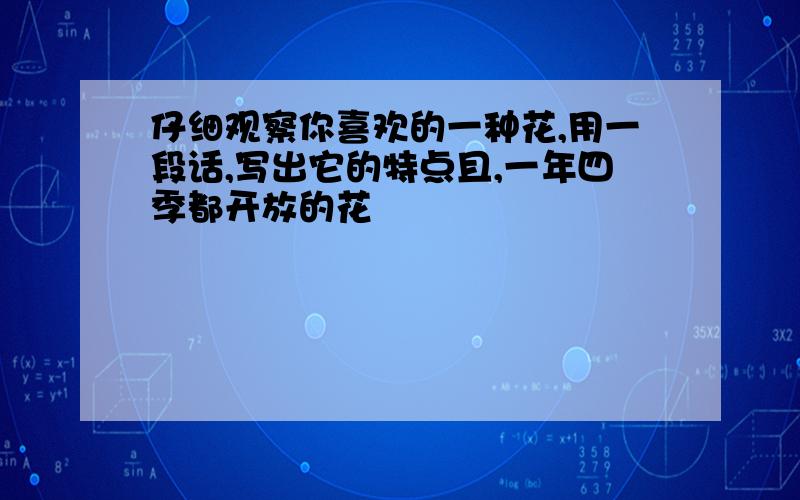 仔细观察你喜欢的一种花,用一段话,写出它的特点且,一年四季都开放的花