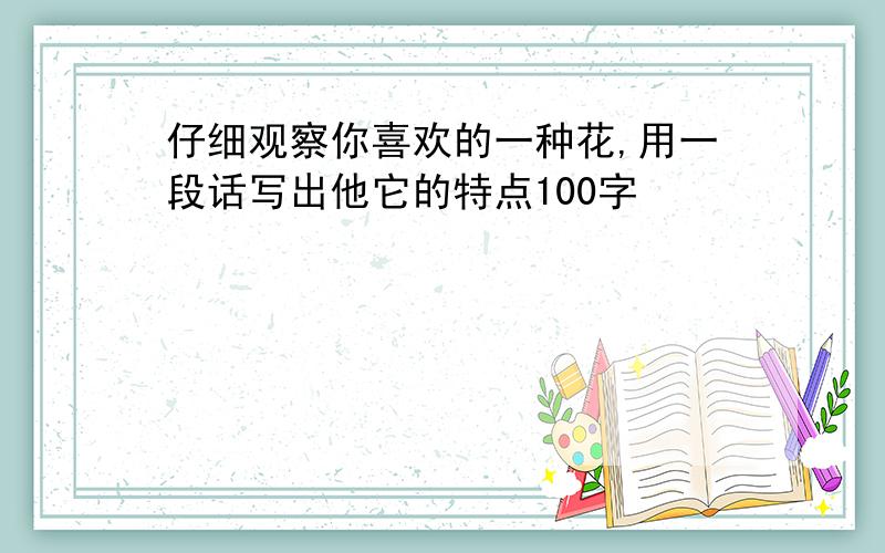 仔细观察你喜欢的一种花,用一段话写出他它的特点100字