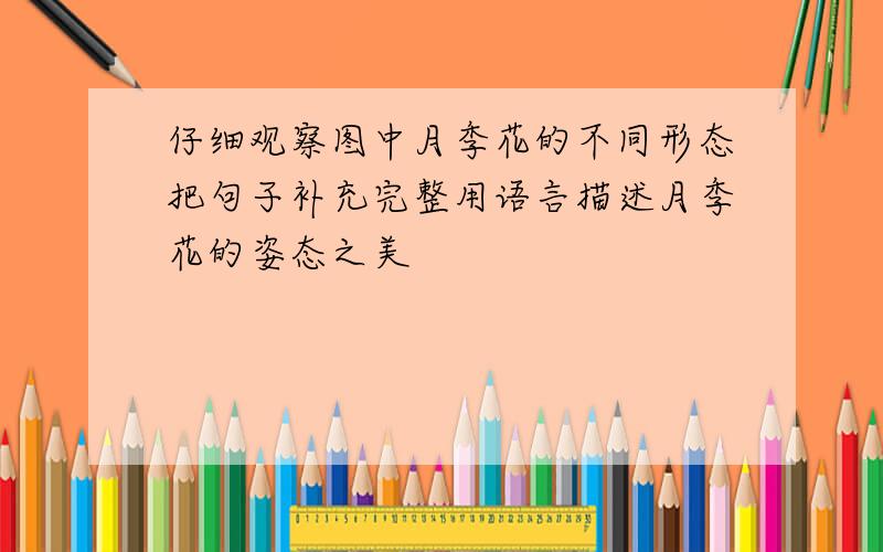 仔细观察图中月季花的不同形态把句子补充完整用语言描述月季花的姿态之美