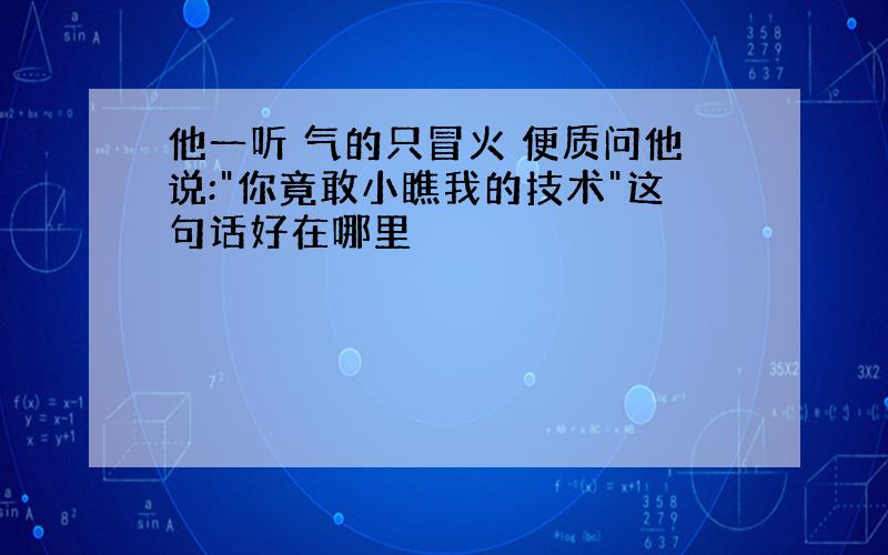 他一听 气的只冒火 便质问他说:"你竟敢小瞧我的技术"这句话好在哪里