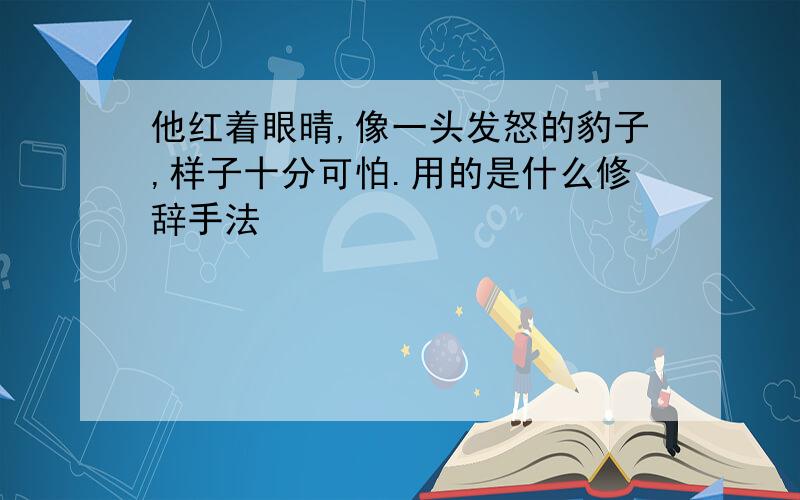 他红着眼晴,像一头发怒的豹子,样子十分可怕.用的是什么修辞手法