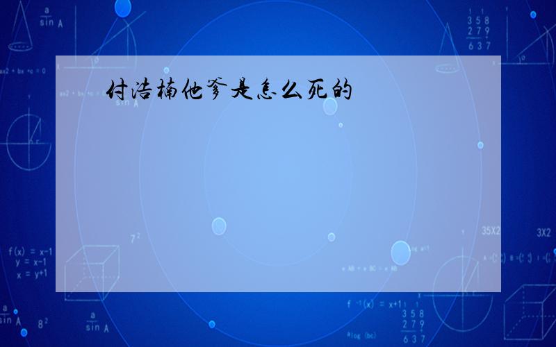 付浩楠他爹是怎么死的