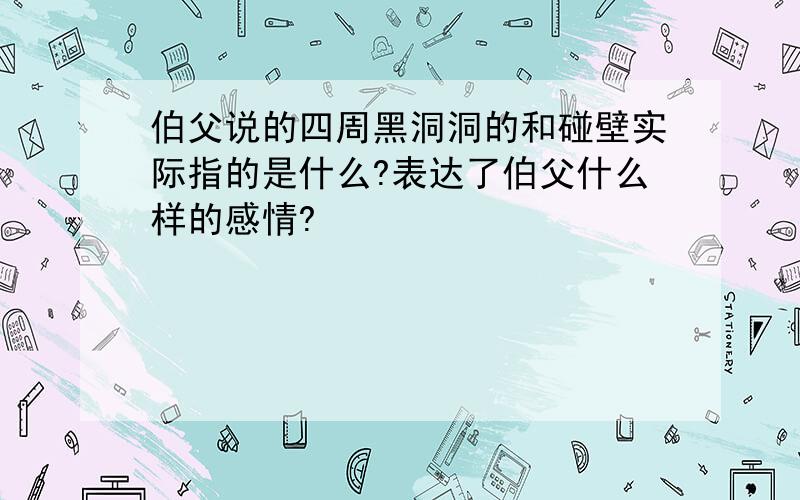 伯父说的四周黑洞洞的和碰壁实际指的是什么?表达了伯父什么样的感情?