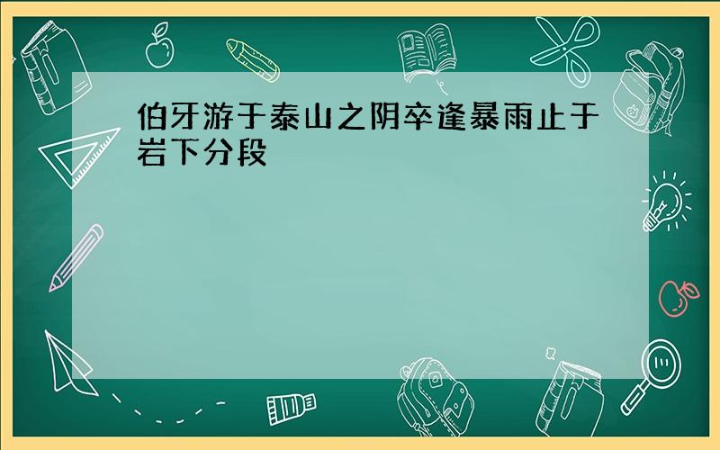 伯牙游于泰山之阴卒逢暴雨止于岩下分段