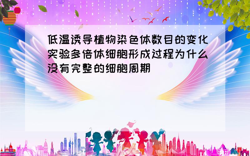 低温诱导植物染色体数目的变化实验多倍体细胞形成过程为什么没有完整的细胞周期