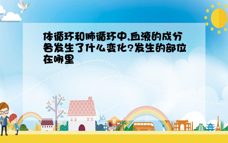 体循环和肺循环中,血液的成分各发生了什么变化?发生的部位在哪里