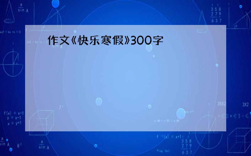 作文《快乐寒假》300字