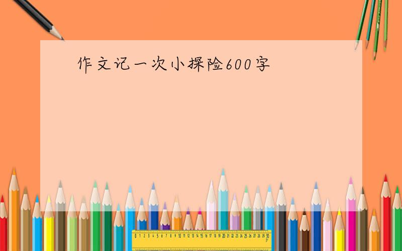 作文记一次小探险600字