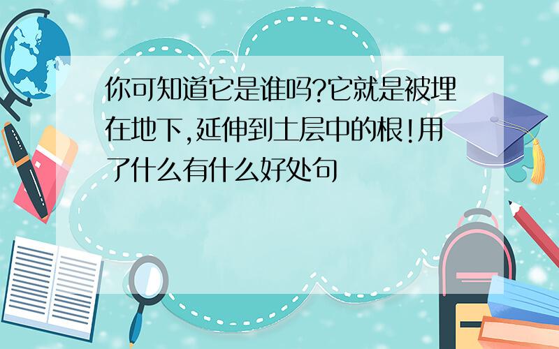 你可知道它是谁吗?它就是被埋在地下,延伸到土层中的根!用了什么有什么好处句