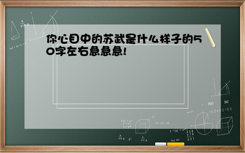 你心目中的苏武是什么样子的50字左右急急急!