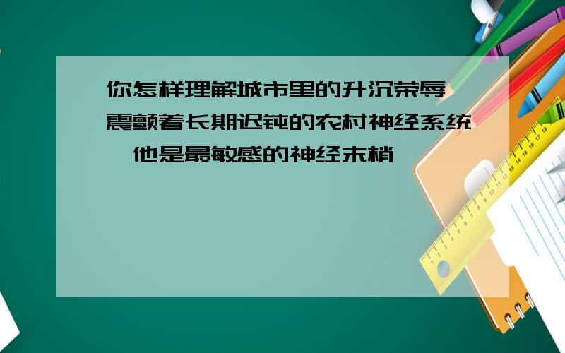 你怎样理解城市里的升沉荣辱,震颤着长期迟钝的农村神经系统,他是最敏感的神经末梢