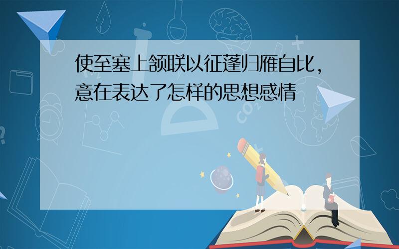 使至塞上颔联以征蓬归雁自比,意在表达了怎样的思想感情