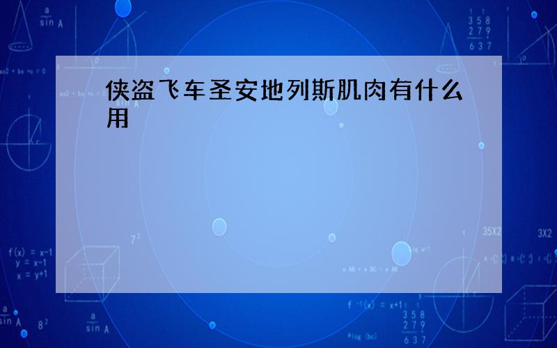 侠盗飞车圣安地列斯肌肉有什么用