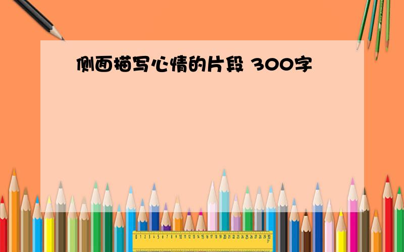 侧面描写心情的片段 300字