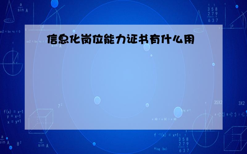 信息化岗位能力证书有什么用